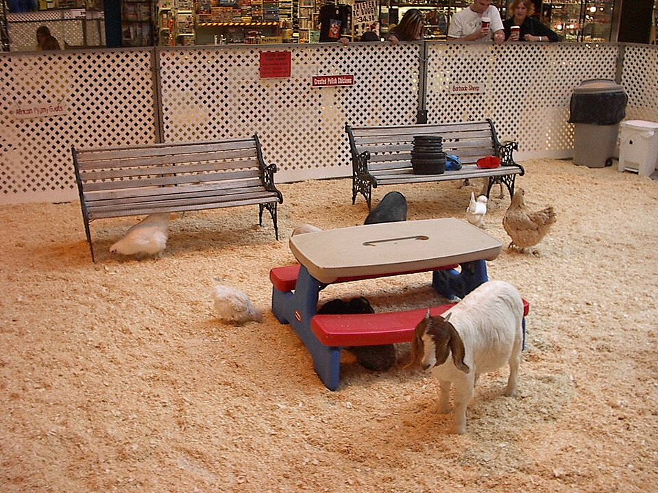 KiBo Schagen