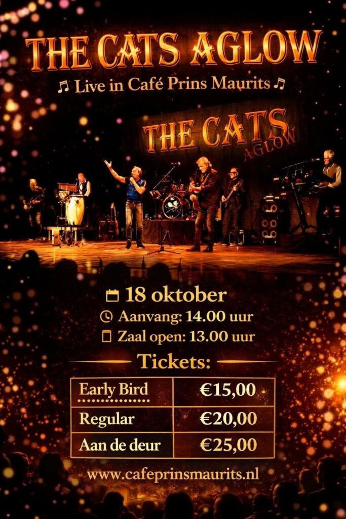 The Cats Aglow in Schagen