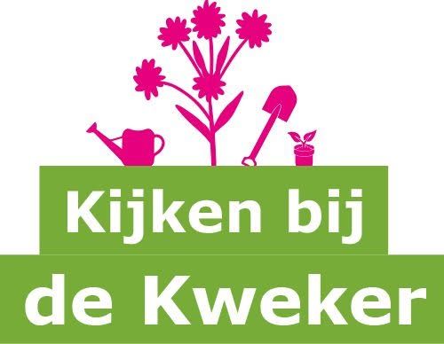 Kijken bij de Kweker in Schagen