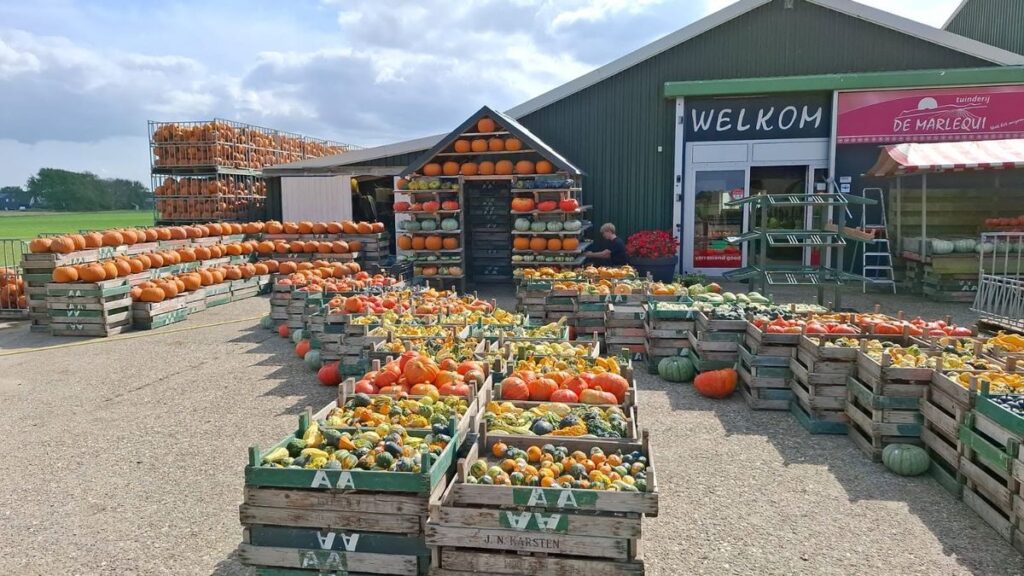 Fair de Marlequi in Schagen