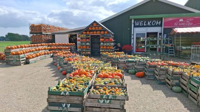 Fair de Marlequi — markt-eten in Schagen