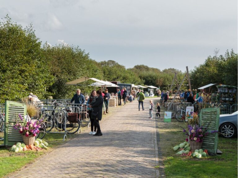 De Oogst en Pompoenfair — muziek in Schagen
